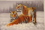 unknow artist Tigers 022 oil on canvas